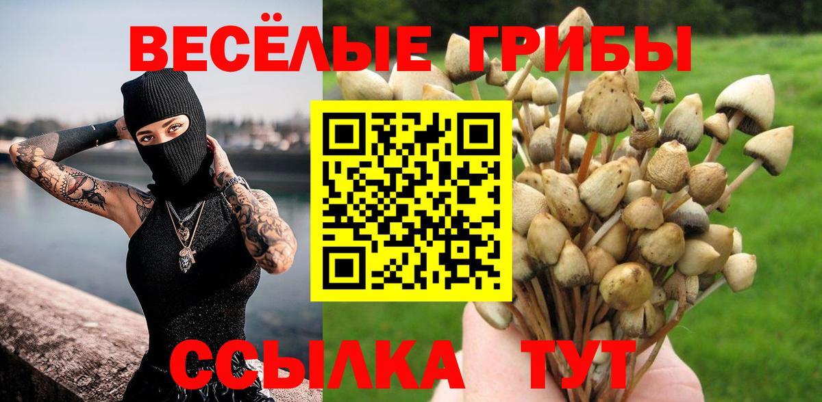 где продают   Псилоцибиновые грибы ЛСД  Вход с VPN  Уссурийск  Псилоцибиновые грибы мухоморы 